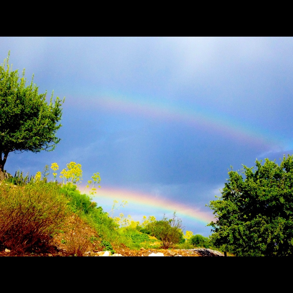 Meet your Posher, Heidi